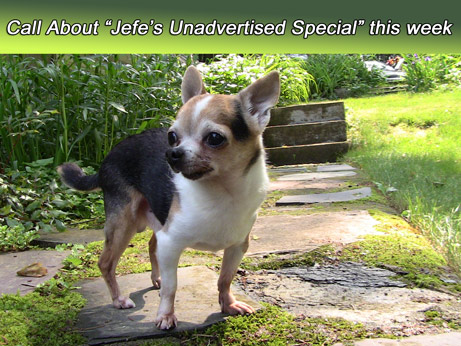 Relax, we have the best price and service on the web