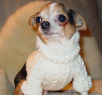 Jefe' blog on the Hothouse