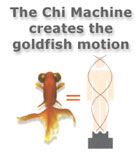 The Chi Machine creates the goldfish motion
